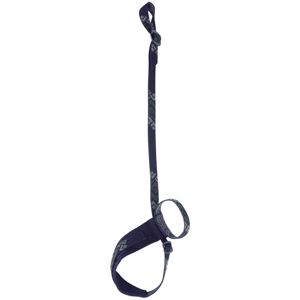 Black Diamond Lock Down Leash - dragonne per piccozza Black/Grey