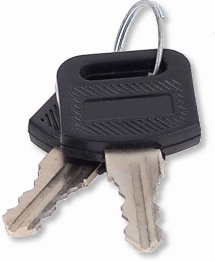 Techly Professional Kit 2 Chiavi Aggiuntive di Chiusura per Armadi Rack Techly Professional Kit 2 Chiavi Aggiuntive di Chiusura per Armadi Rack