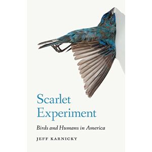 University of Nebraska Press Scarlet Experiment: Birds and Humans in America (English Edition)