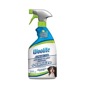 Bissell Woolite Advanced Pet Eliminador de Manchas y olores para Mascotas + desinfectar, Desinfectante de Lana., Transparente, 623 g, 1