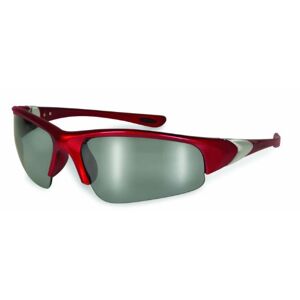 Specialized Safety Products SSP anteojos de seguridad bifocal/lector con marcos y lentes antiniebla