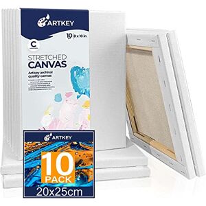 Artkey Lienzos para pintar de 8 x 10 pulgadas, 10 unidades, lona estirado de perfil de 5/8 pulgadas, 100% algodón, lona en blanco blanco Artkey Lienzos para pintar de 8 x 10 pulgadas, 10 unidades, lona estirado de perfil de 5/8 pulgadas, 100% algodón, lona en blanco blanco
