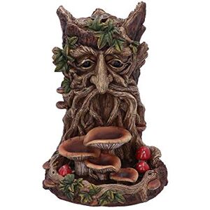 Nemesis Now Wisest Dryad Tree Spirit Green Man Quemador de Incienso de reflujo, Talla única, marrón Nemesis Now Wisest Dryad Tree Spirit Green Man Quemador de Incienso de reflujo, Talla única, marrón