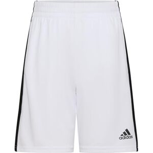 Adidas Pantalón Corto Adi Clsic 3s para niño, Blanco, Medium Adidas Pantalón Corto Adi Clsic 3s para niño, Blanco, Medium