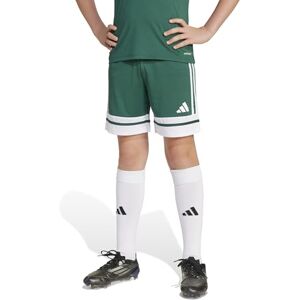 Adidas Squadra 25 Pantalones Cortos Unisex, Team Dark Green/White, Large Adidas Squadra 25 Pantalones Cortos Unisex, Team Dark Green/White, Large