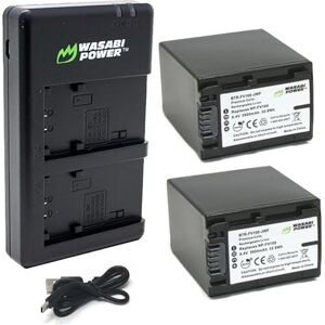 Wasabi Power Battery (2 unidades) y cargador dual USB compatible con Sony NP-FV100 y DCR-SR15, DCR-SX45, FDR-AX100, HDR-CX105, HC9, PJ30V, TD20V, XR550V, HXR-NX3D1U, Nex-VG10 y más Wasabi Power Battery (2 unidades) y cargador dual USB compatible con Sony NP-FV100 y DCR-SR15, DCR-SX45, FDR-AX100, HDR-CX105, HC9, PJ30V, TD20V, XR550V, HXR-NX3D1U, Nex-VG10 y más
