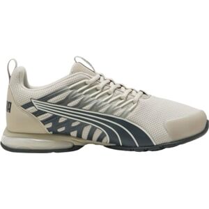 PUMA Voltaic Evo Cross Trainer para hombre, Polvo del desierto/gris oscuro, 25.0 cm PUMA Voltaic Evo Cross Trainer para hombre, Polvo del desierto/gris oscuro, 25.0 cm