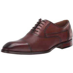 Steve Madden Proctr Oxford para Hombre, Bronceado Cuero, 13 US Steve Madden Proctr Oxford para Hombre, Bronceado Cuero, 13 US