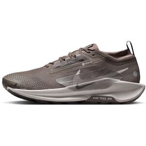Nike Pegasus Trail 5 Gore-Tex Tenis para Hombre, Ironstone/College Grey/Velvet Brown, 30.5 cm Nike Pegasus Trail 5 Gore-Tex Tenis para Hombre, Ironstone/College Grey/Velvet Brown, 30.5 cm