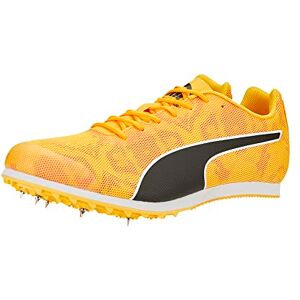 PUMA Evospeed Star 8 Tenis de Pista y Campo para Hombre, Sun Stream-Sunset Glow-Black, 9, Sun Stream-Sunset Glow-Black, 26.5 cm PUMA Evospeed Star 8 Tenis de Pista y Campo para Hombre, Sun Stream-Sunset Glow-Black, 9, Sun Stream-Sunset Glow-Black, 26.5 cm