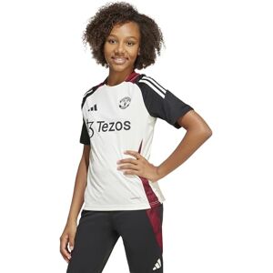 Adidas Manchester United 24/25 Playera de Entrenamiento Unisex para niños, Blanco desteñido/Negro, Small Adidas Manchester United 24/25 Playera de Entrenamiento Unisex para niños, Blanco desteñido/Negro, Small