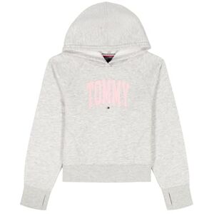 Tommy Hilfiger Sudadera con Capucha de Forro Polar de Manga Larga para niña, Suave y cómoda, con Costuras de Color Jaspeado de Hielo, Talla 16 Tommy Hilfiger Sudadera con Capucha de Forro Polar de Manga Larga para niña, Suave y cómoda, con Costuras de Color Jaspeado de Hielo, Talla 16