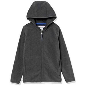 Amazon Essentials Chaqueta de forro polar con capucha para niños pequeños, color carbón, talla 3T Amazon Essentials Chaqueta de forro polar con capucha para niños pequeños, color carbón, talla 3T