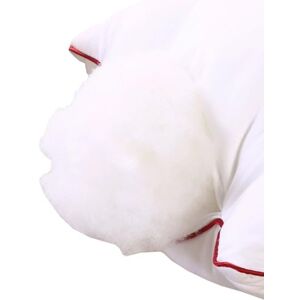 SWJ-swjssb Relleno De Almohada 50x70, Relleno Cojín 45x45,50x50,60x60 30x50 65x65 Relleno De Cojines Sofá De Poliéster Grande Rectangular Cuadrado Cushion Filling con Cremallera(65x85 cm) SWJ-swjssb Relleno De Almohada 50x70, Relleno Cojín 45x45,50x50,60x60 30x50 65x65 Relleno De Cojines Sofá De Poliéster Grande Rectangular Cuadrado Cushion Filling con Cremallera(65x85 cm)