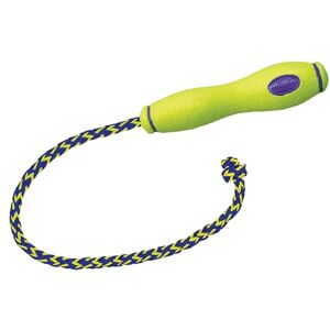 KONG Air Dog Fetch Stick with Rope Dog Toy, Large, Pack of 1 KONG Air Dog Fetch Stick with Rope Dog Toy, Large, Pack of 1