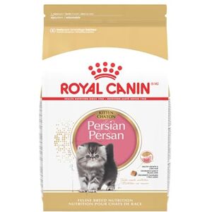 Royal Canin Alimento seco para gatos adultos para gatitos persas de raza felina, 3 libras Royal Canin Alimento seco para gatos adultos para gatitos persas de raza felina, 3 libras