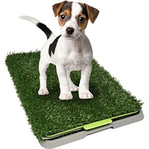 Fancy Pets Tapete Entrenador Doggie Grass para Perros CH 1 Pieza Antimicrobiano, Resistente y Fácil de Limpiar Fancy Pets Tapete Entrenador Doggie Grass para Perros CH 1 Pieza Antimicrobiano, Resistente y Fácil de Limpiar