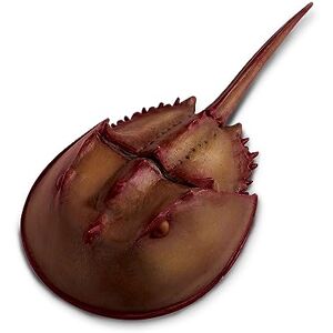 Safari Ltd. Figura de Cangrejo de Herradura, Figura Detallada de plástico de 7 Pulgadas, Juguete Educativo Divertido para niños, niñas y niños a Partir de 3 años Safari Ltd. Figura de Cangrejo de Herradura, Figura Detallada de plástico de 7 Pulgadas, Juguete Educativo Divertido para niños, niñas y niños a Partir de 3 años