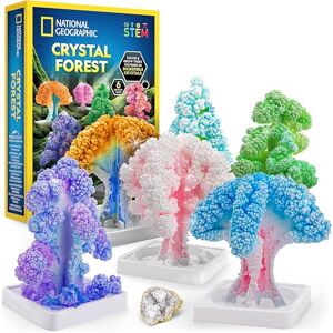 Blue Marble NATIONAL GEOGRAPHIC Kit de Cristales para Niños Cultiva 6 Árboles de Cristal en 6 Horas, Set Educativo con Suministros de Arte, Espécimen de Geoda, STEM (Exclusivo de Amazon) Blue Marble NATIONAL GEOGRAPHIC Kit de Cristales para Niños Cultiva 6 Árboles de Cristal en 6 Horas, Set Educativo con Suministros de Arte, Espécimen de Geoda, STEM (Exclusivo de Amazon)