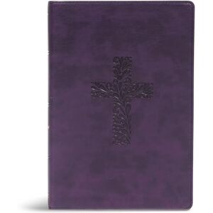 Holman Bible Publishers KJV Rainbow Study Bible, Purple Leathertouch: Ribbon Marker, Color-Coded Text, Smythe Sewn Binding, Easy to Read Bible Font, Bible Study Helps, Full-Color Maps Holman Bible Publishers KJV Rainbow Study Bible, Purple Leathertouch: Ribbon Marker, Color-Coded Text, Smythe Sewn Binding, Easy to Read Bible Font, Bible Study Helps, Full-Color Maps