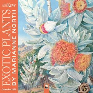 Flame Tree Studio Kew Gardens: Exotic Plants by Marianne North Wall Calendar 2025: Art Calendar Flame Tree Studio Kew Gardens: Exotic Plants by Marianne North Wall Calendar 2025: Art Calendar