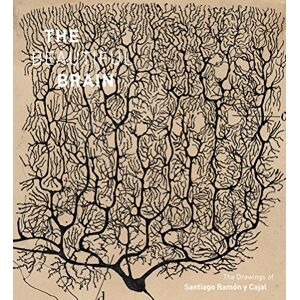 Swanson, Larry W The Beautiful Brain: The Drawings of Santiago Ramon Y Cajal Swanson, Larry W The Beautiful Brain: The Drawings of Santiago Ramon Y Cajal