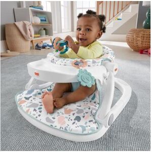 Fisher Price Babyspeelgoed Sit Me Up Fisher Price Babyspeelgoed Sit Me Up