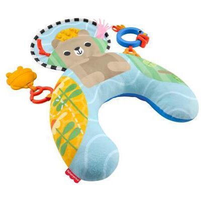 Fisher Price Fisher-Price Sensorisch Buikkussen Fisher Price Fisher-Price Sensorisch Buikkussen