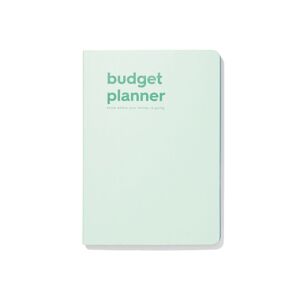 HEMA Budgetplanner Voor 12 Maanden 21x15
