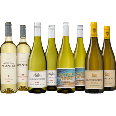 Bourseduvin.be Grand assortiment de vin Sauvignon Blanc Bourseduvin.be Grand assortiment de vin Sauvignon Blanc
