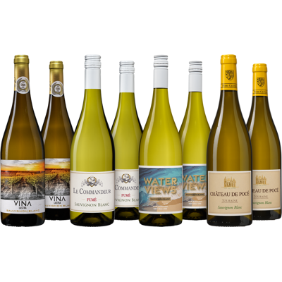 Bourseduvin.be Grand assortiment de vin Sauvignon Blanc Bourseduvin.be Grand assortiment de vin Sauvignon Blanc