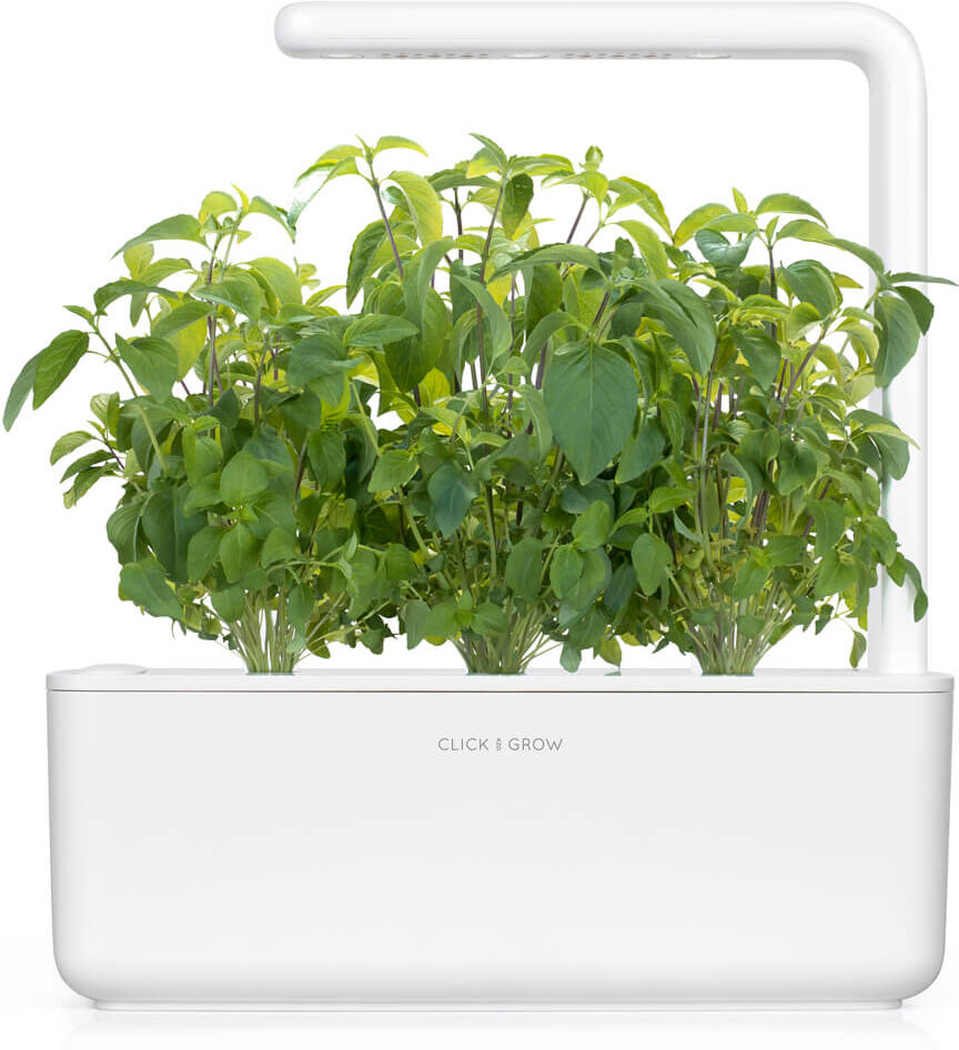 Click & Grow Smart Garden 3 Wit (Incl 3 basilicum plantjes)