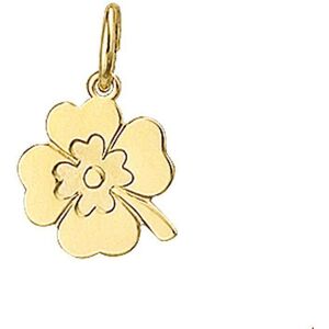 Quickjewels Huiscollectie Goud hanger klavertje poli/mat 14K geelgoud 4005613 Quickjewels Huiscollectie Goud hanger klavertje poli/mat 14K geelgoud 4005613