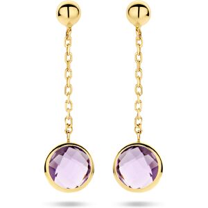 Quickjewels Huiscollectie Goud oorhangers amethist 14K geelgoud 4027730 Quickjewels Huiscollectie Goud oorhangers amethist 14K geelgoud 4027730