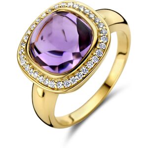 Quickjewels Huiscollectie Goud ring amethist en diamant 0.20ct h si halo 14K geelgoud 4027918 Quickjewels Huiscollectie Goud ring amethist en diamant 0.20ct h si halo 14K geelgoud 4027918