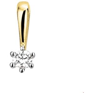 Quickjewels Huiscollectie Goud hanger diamant 0.05ct h si 14K bicolor goud geel/wit 4208088 Quickjewels Huiscollectie Goud hanger diamant 0.05ct h si 14K bicolor goud geel/wit 4208088