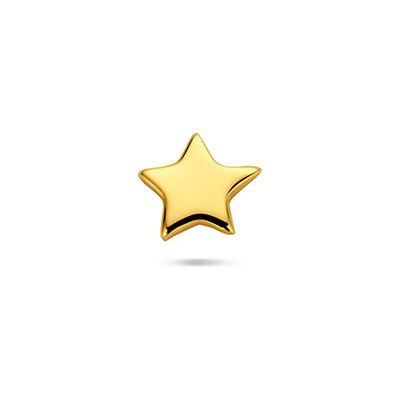 Quickjewels Huiscollectie Zilver zilver verguld (geel) flat back piercing ster 4 mm 1 micron 2104194 Quickjewels Huiscollectie Zilver zilver verguld (geel) flat back piercing ster 4 mm 1 micron 2104194