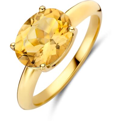 Quickjewels Huiscollectie Goud 14K geelgoud ring citrien 4035944 17.25 Quickjewels Huiscollectie Goud 14K geelgoud ring citrien 4035944 17.25