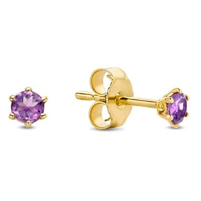 Jackie Gold - Amethyst Studs JKE20.006 - Oorbellen Jackie Gold - Amethyst Studs JKE20.006 - Oorbellen