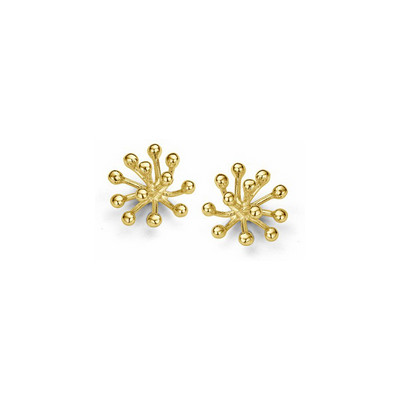 Casa Jewelry Casa oorbellen TN.0091.00 Porcu - Goudkleur Casa Jewelry Casa oorbellen TN.0091.00 Porcu - Goudkleur