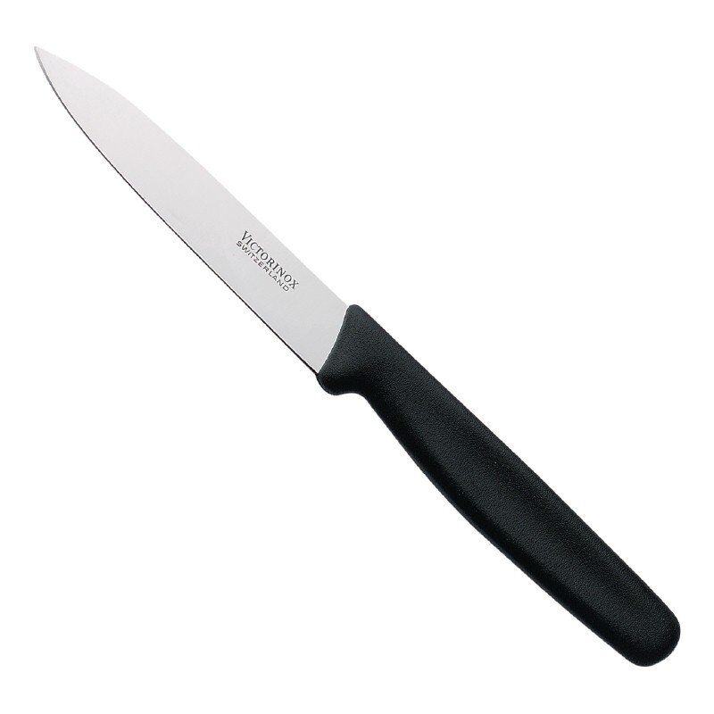 Victorinox schilmesje 10cm