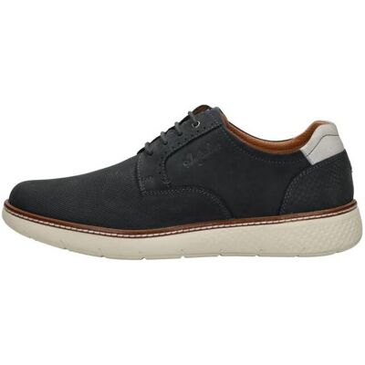 Australian - Pozzato Blauw 44 male Australian - Pozzato Blauw 44 male