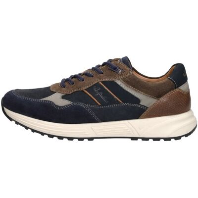 Australian - Grants Blauw 47 male Australian - Grants Blauw 47 male