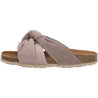 Verbenas - Rainbow Taupe 42 female Verbenas - Rainbow Taupe 42 female