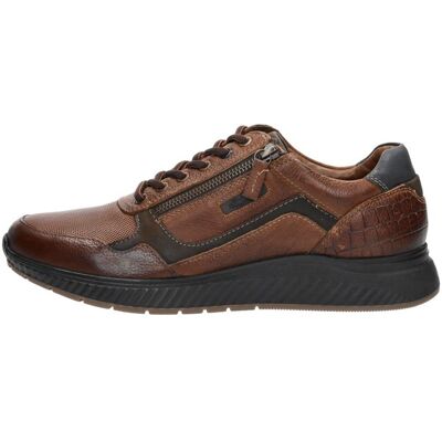 Australian - Hatchback Cognac 44 male Australian - Hatchback Cognac 44 male