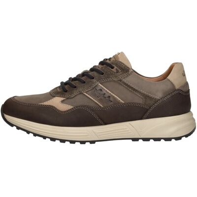 Australian - Grants Taupe 47 male Australian - Grants Taupe 47 male