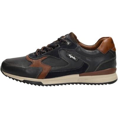Australian - Bakersville Blauw 49 male Australian - Bakersville Blauw 49 male