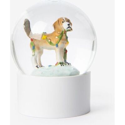 Sissy-Boy Sneeuwbol Met Hond Sissy-Boy Sneeuwbol Met Hond