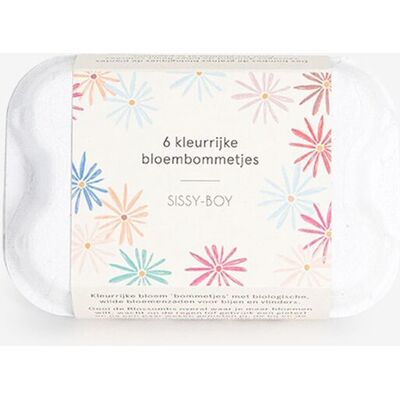 Sissy-Boy Set Van 6 Bloembommetjes Sissy-Boy Set Van 6 Bloembommetjes