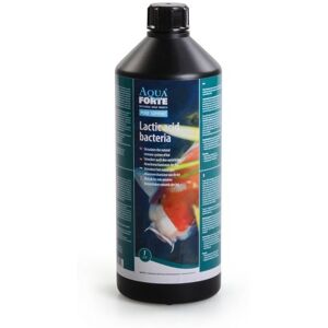 AquaForte Melkzuurbacteriën 1 Liter - AquaForte AquaForte Melkzuurbacteriën 1 Liter - AquaForte